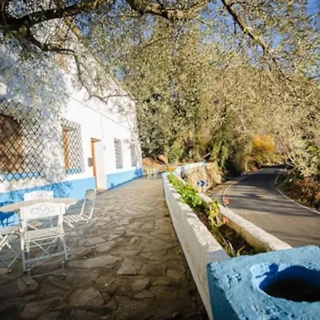 El Olivo. Alpujarra. *