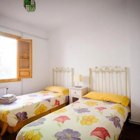 El Olivo. Alpujarra. *
