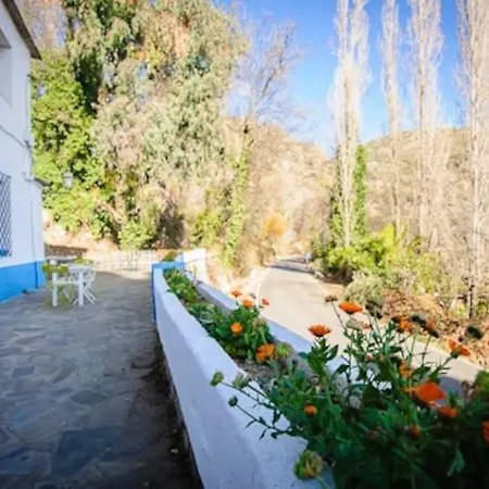 Сasa de vacaciones El Olivo. Alpujarra.
