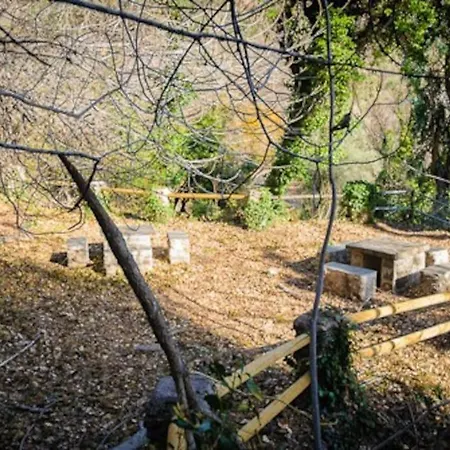 Сasa de vacaciones El Olivo. Alpujarra. Cástaras