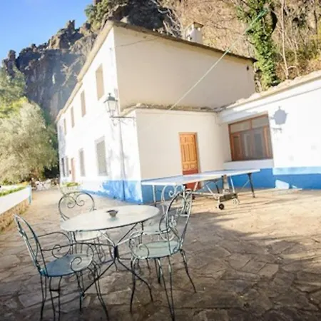 El Olivo. Alpujarra.