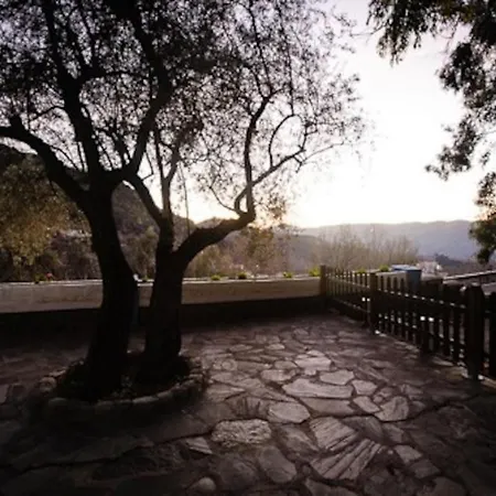 El Olivo. Alpujarra. Cástaras