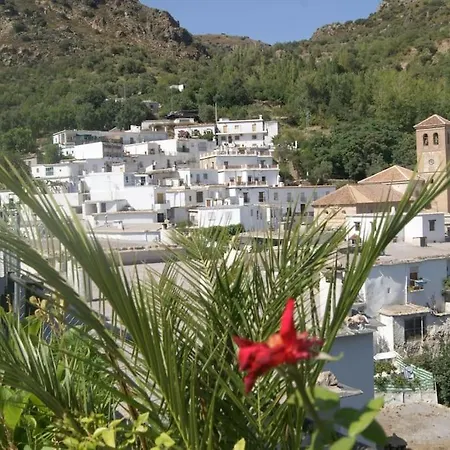 El Olivo. Alpujarra. Сasa de vacaciones Cástaras