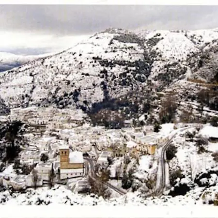 El Olivo. Alpujarra.