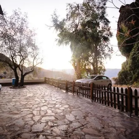 El Olivo. Alpujarra. *