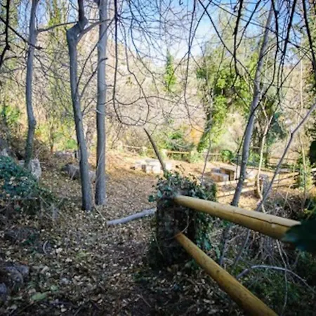 El Olivo. Alpujarra.