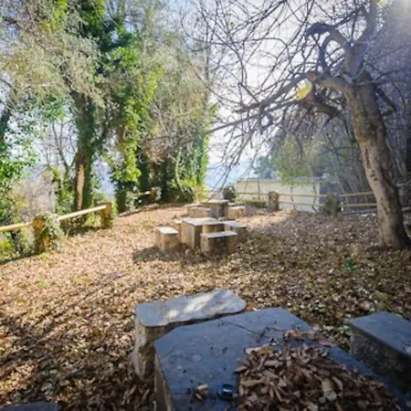 El Olivo. Alpujarra. * Castaras
