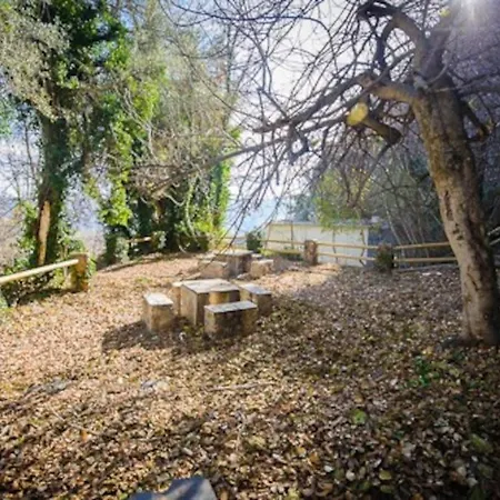 Holiday home El Olivo. Alpujarra. Castaras